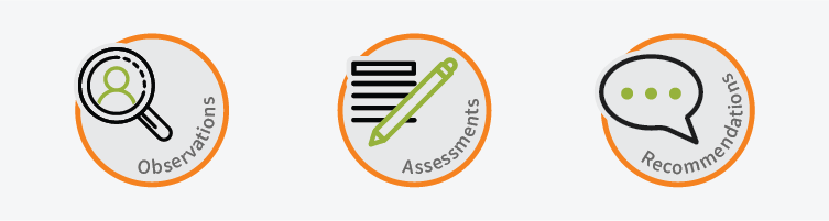Observation, assessment, and recommendation icons