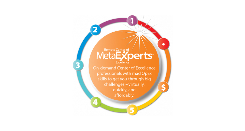 MetaExperts® Announces the Remote Council of Experts: Affordable On-Demand Online Access to Extreme Operational Excellence Professionals